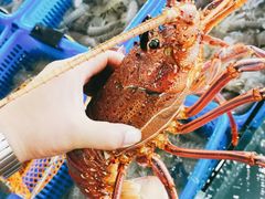 -七鲜渔港美食餐厅(巽寮湾海景店)
