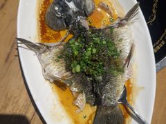 -鱼神·脆肉鲩 全鱼宴(西乡店)