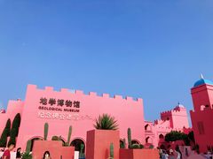 -漳州滨海火山岛自然生态风景区