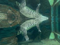 -青藏高原野生动物园