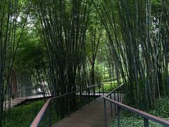 -云溪植物园