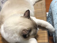 -星巴克(北京新东安)