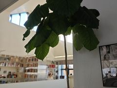 -PAGEONE(北京坊店)