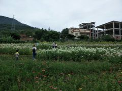 -泉州海丝野生动物世界