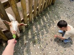 -哈尔滨北方森林动物园