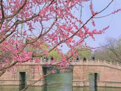 -颐和园