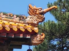 -普乐寺