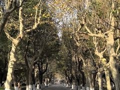 -华东政法大学(松江校区)