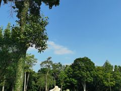 -凤岭儿童公园