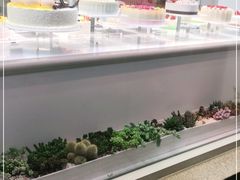 -好利来.生日蛋糕(杨家坪店)