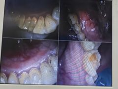 -牙博士口腔品牌连锁(杨浦店)