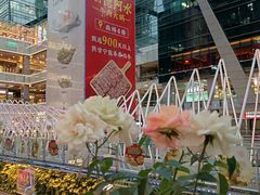 -福田卓悦INTOWN购物中心