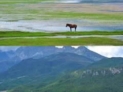 -黑龙潭公园
