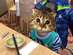 -仿膳饭庄(天安门店)