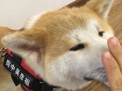 -YCHL Studios健身工作室(市二宫店)