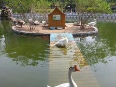 android_upload_pic-北京市海淀外国语实验学校