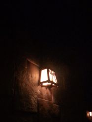 -翱翔飞越地平线