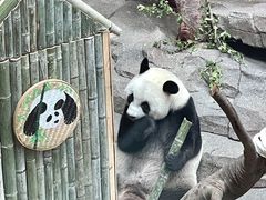 -宁波野生动物园