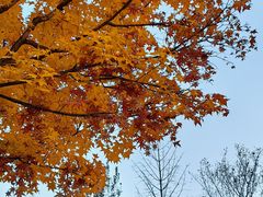 -北京园博大酒店