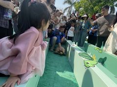 -灵玲国际马戏城