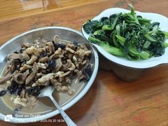 -风云岭森林公园