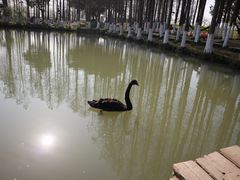 -乌村