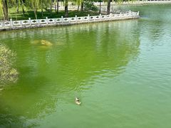 -济南南郊宾馆