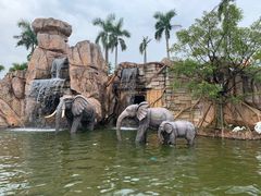 -美的鹭湖探索王国