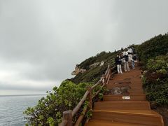 -杨梅坑