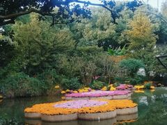 -汇龙潭