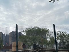 -南昌动物园