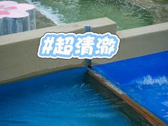 -黄陂区野村谷景区
