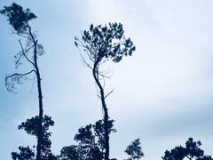 -狐尾山公园