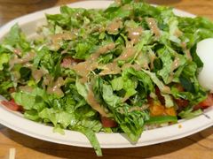 -油梨树 AVOCADO TREE(亮马桥店)