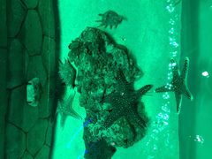 -亚龙湾海底世界