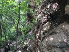 -大岭沟猕猴桃谷风景区