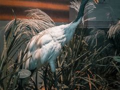 -长江文明馆