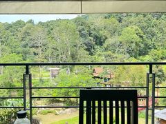 -清迈丛林飞跃 JungleFlight