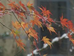 -鼓楼(西湖风景名胜区)