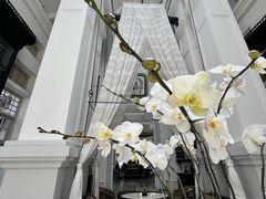 -富国岛翡翠湾 JW 万豪度假酒店