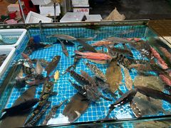-都斛海鲜街