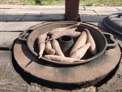 -西部长青自然儿童乐园