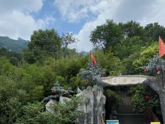 -王顺山国家森林公园