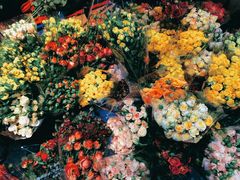 -循礼门鲜花花市(武汉循礼门店)