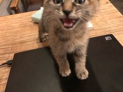 -时光转角咖啡馆(西康路店)