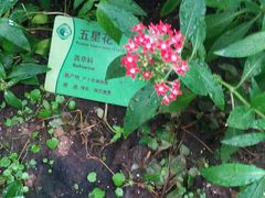-华南国家植物园-售票处