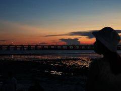 -宝安西湾红树林湿地公园