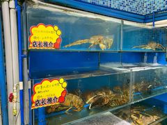 清蒸波士顿龙虾-蚝专家(北滘店)