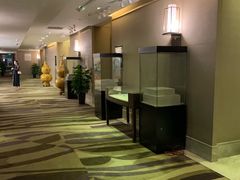 -深圳雅邦朗悦国际酒店