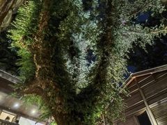 -星巴克(福州三坊七巷店)